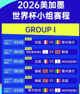 NBA总决赛 湖人猛龙激战